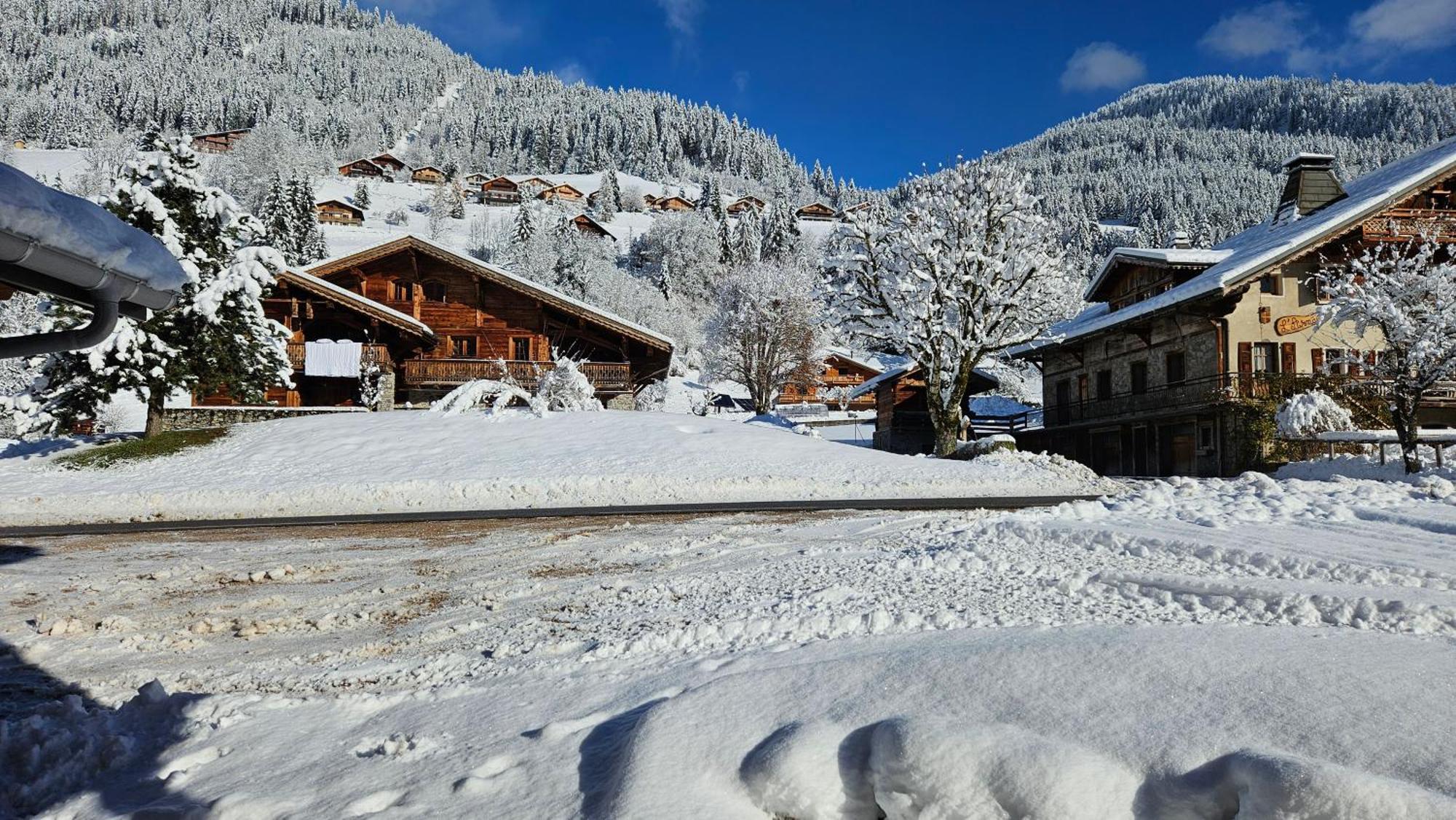 Demi-Chalet Vadel La Panthiaz 15 Pers 5 Chambres Abondance Exterior foto